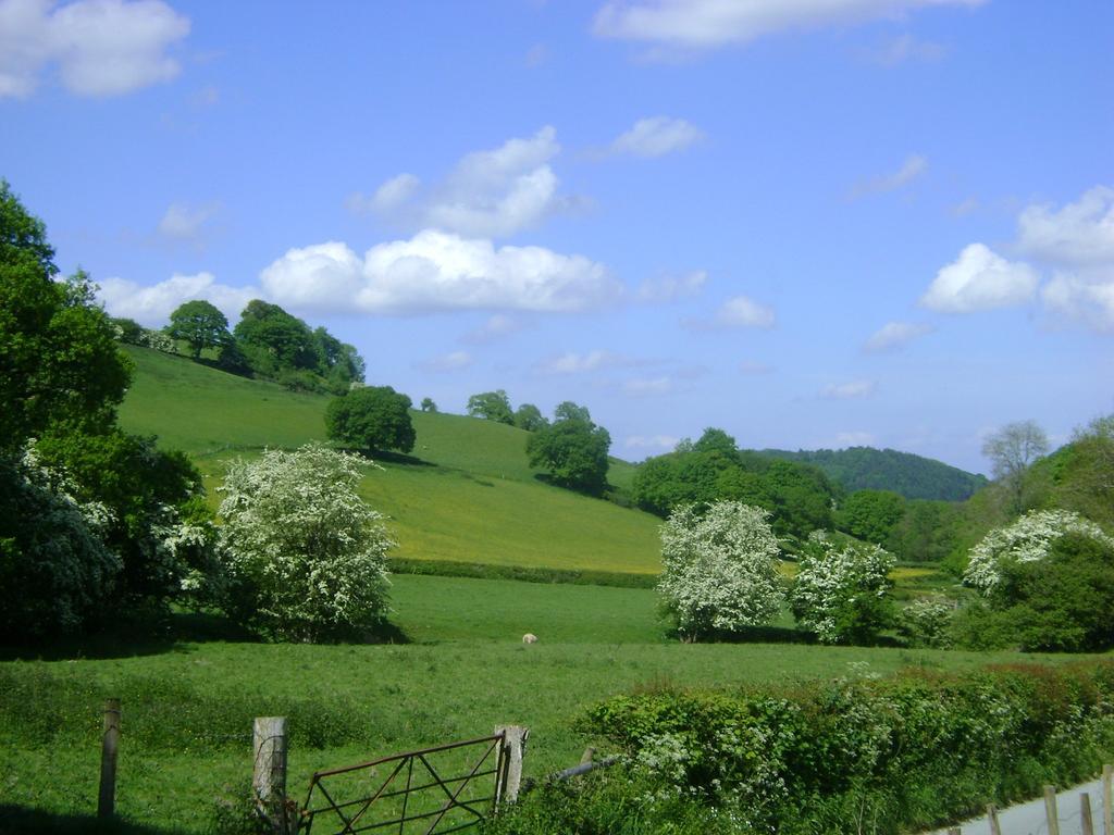 The Forest Country House B&B Newtown  Exterior foto