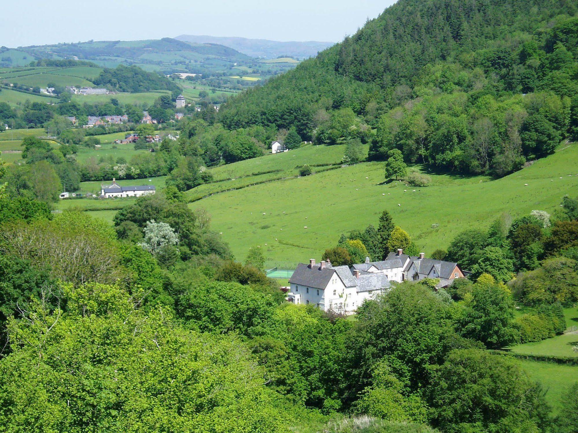 The Forest Country House B&B Newtown  Exterior foto